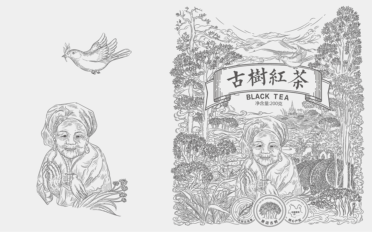普洱茶包装设计